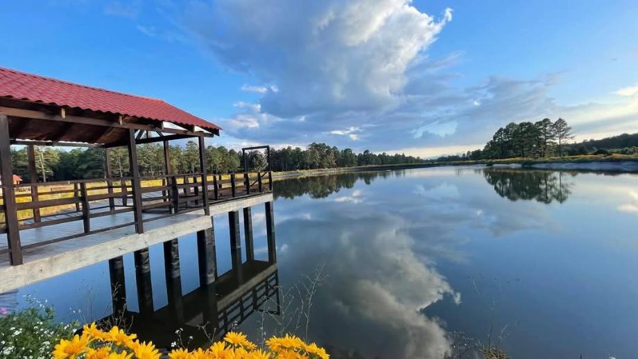 Imagen de terreno en venta en llano grande, durango, durango