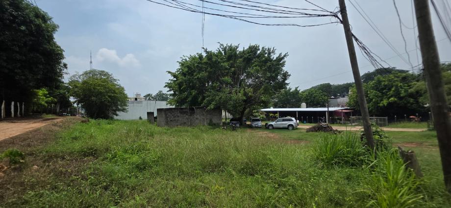 Imagen de terreno en renta en sabina, centro, tabasco