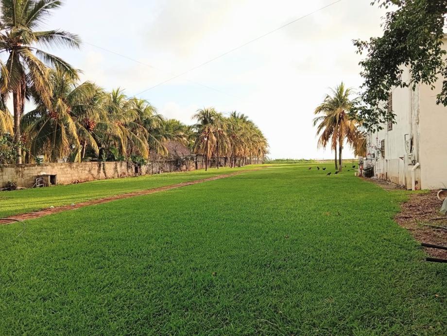 Imagen de terreno en venta en cahuacan, tapachula, chiapas