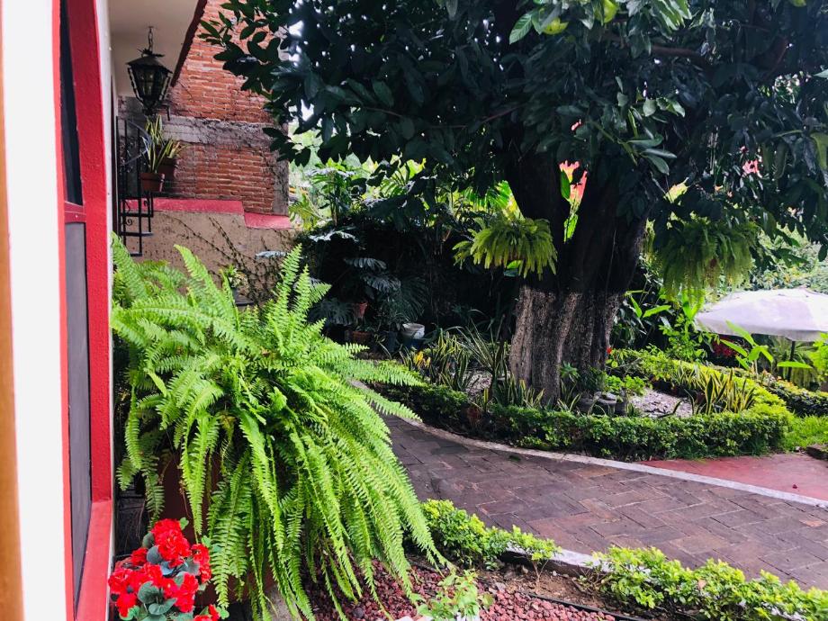 Imagen de departamento en renta en reforma, oaxaca de juárez, oaxaca