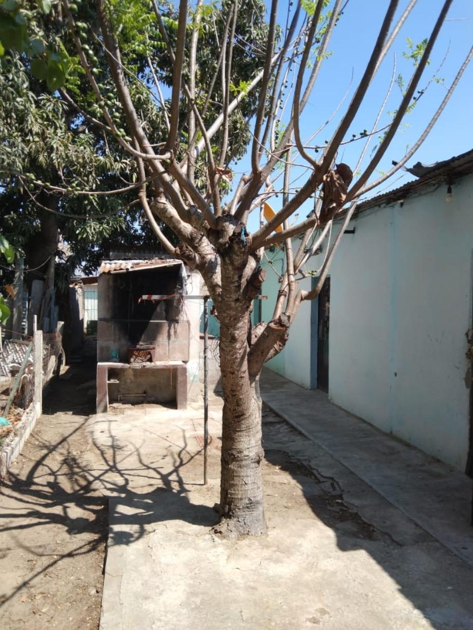 Imagen de terreno en venta en arenal, tampico, tamaulipas