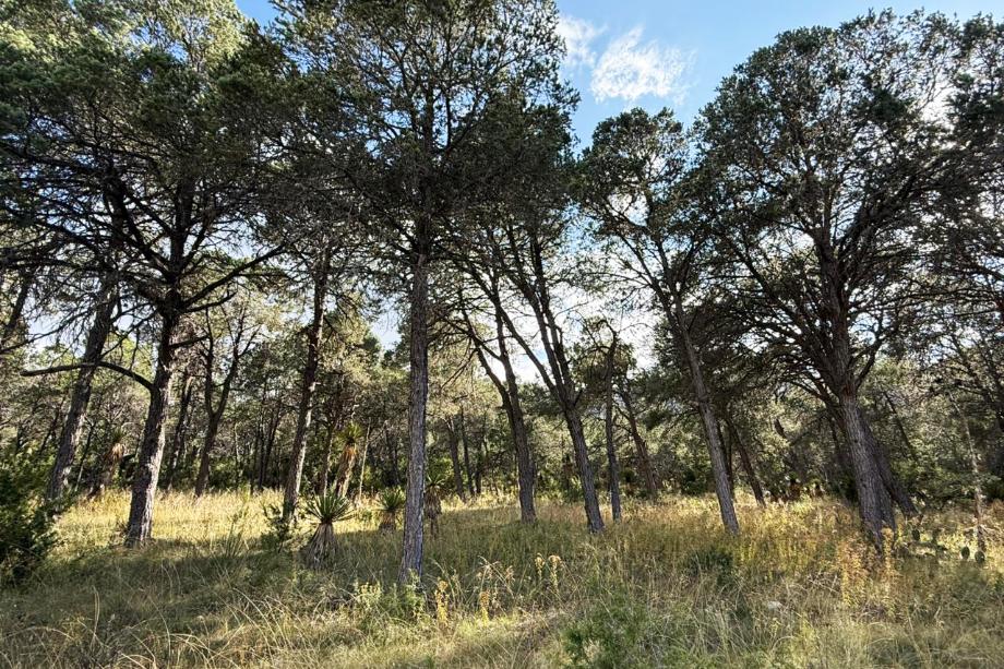Imagen de terreno en venta en santa clara de ciénega, galeana, nuevo león