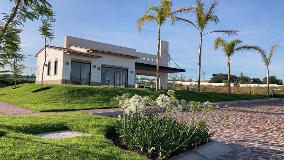 Imagen de terreno en venta en tío julio, apaseo el grande, guanajuato