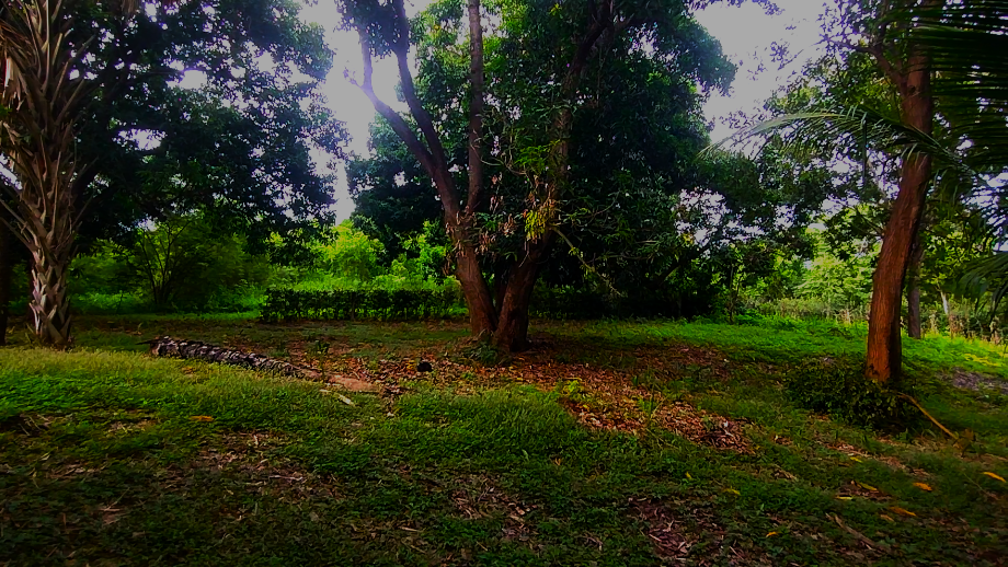 Imagen de terreno en venta en puerto escondido (puerto escondido), san pedro mixtepec -dto. 22 -, oaxaca