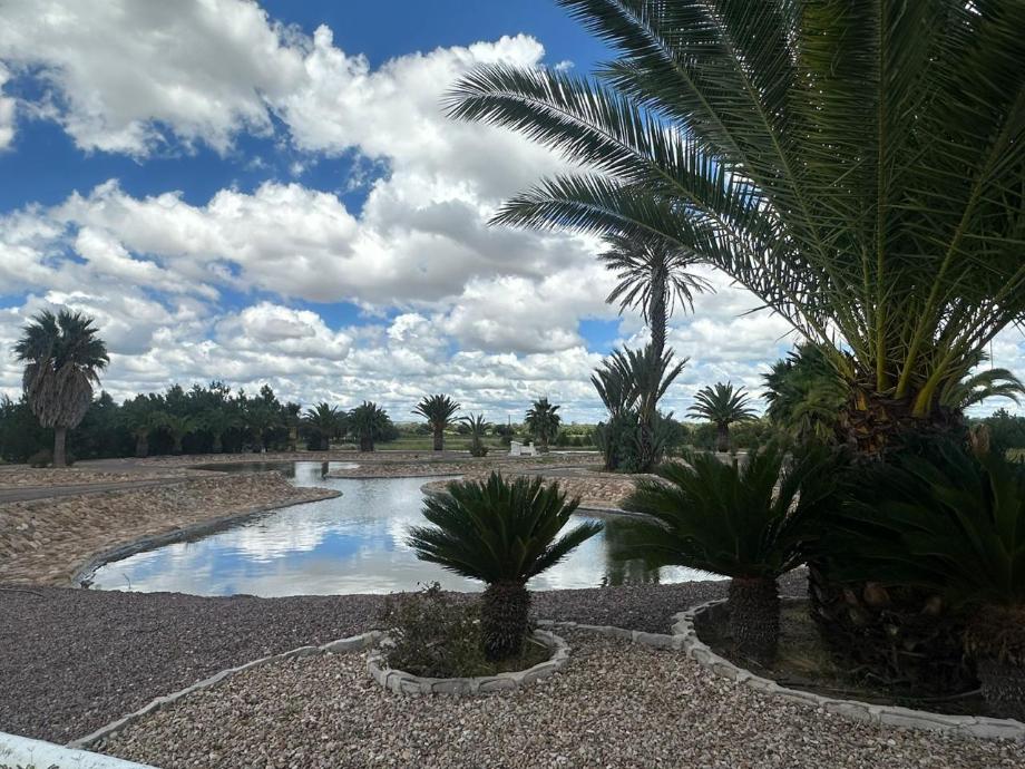 Imagen de terreno en venta en sebastián lerdo de tejada, durango, durango