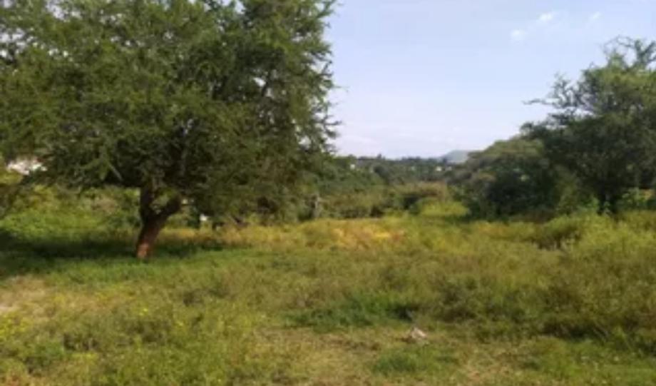Imagen de terreno en venta en chiconcuac, xochitepec, morelos