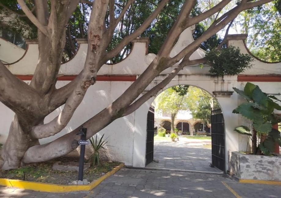 Imagen de local en renta en luz obrera, puebla, puebla