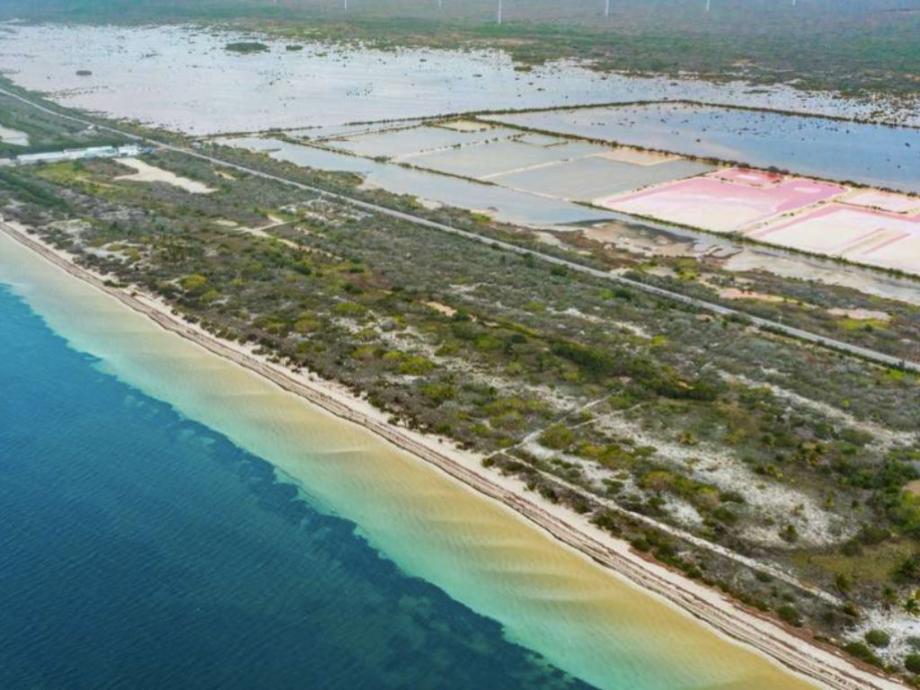 Imagen de terreno en venta en santa clara, dzidzantún, yucatán