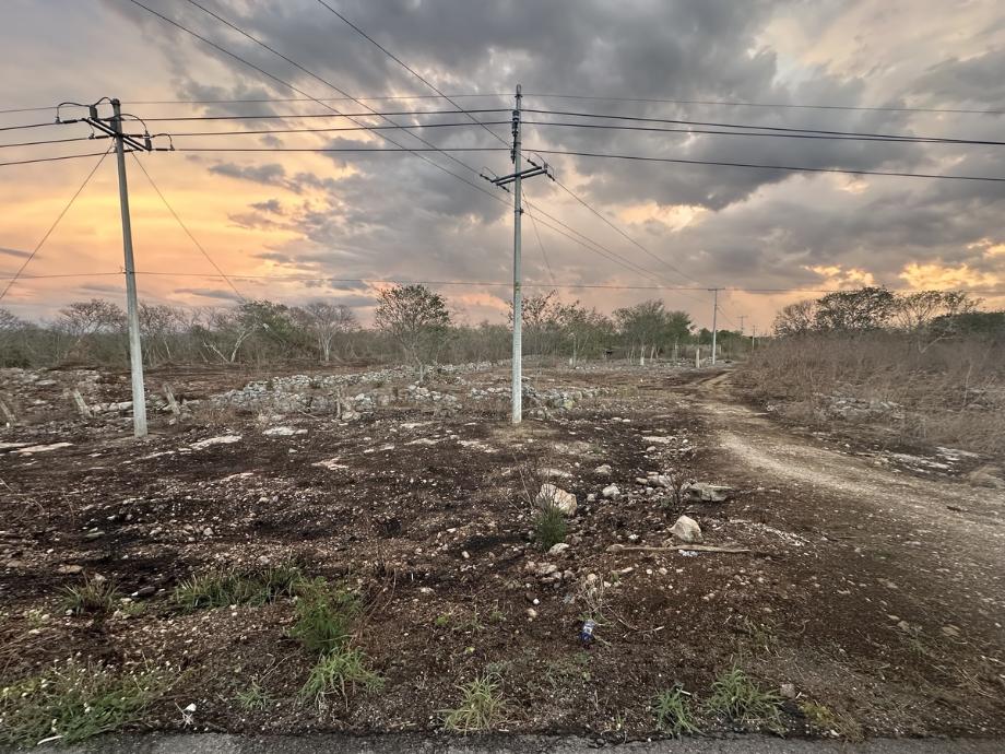 Imagen de terreno en renta en motul de carrillo puerto centro, motul, yucatán