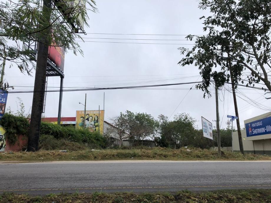 Imagen de terreno en renta en cholul, mérida, yucatán