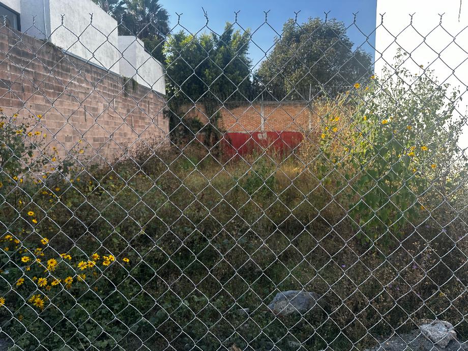 Imagen de terreno en renta en morillotla, san andrés cholula, puebla