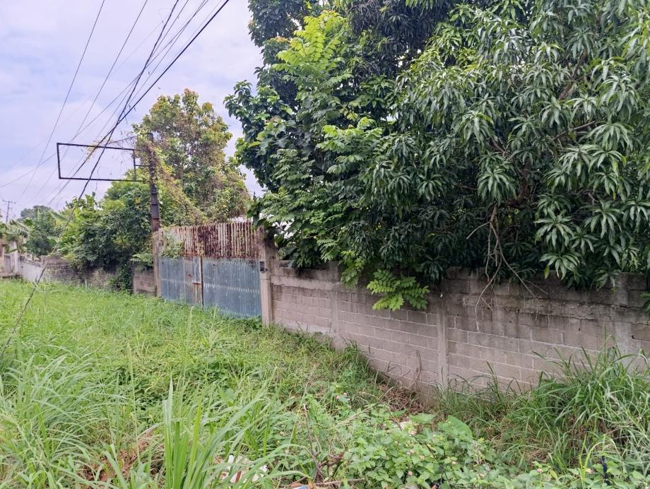 Imagen de terreno en venta en boquerón (san pedro), centro, tabasco