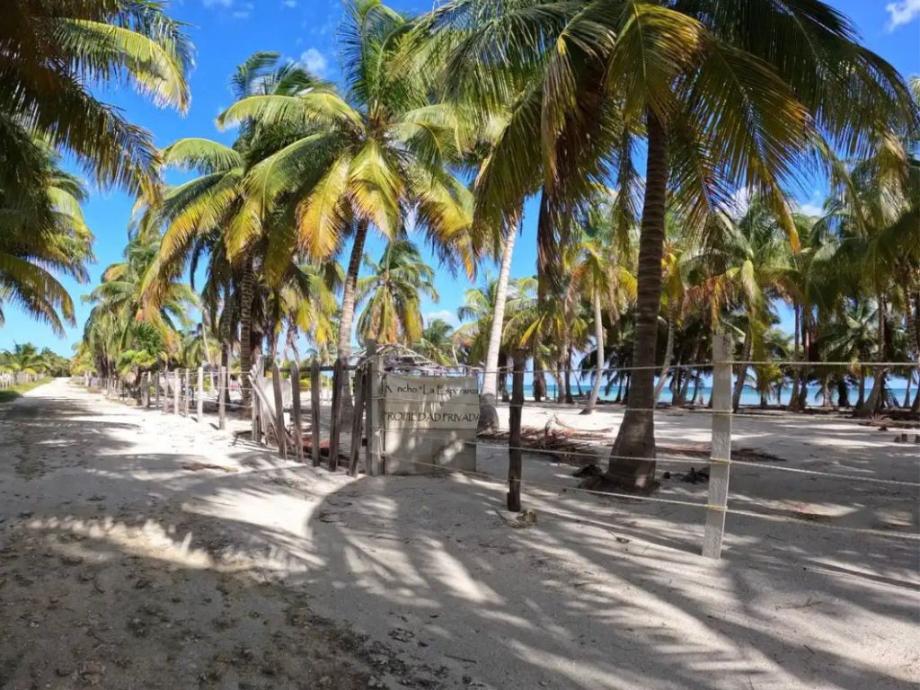 Imagen de terreno en venta en punta pulticub, bacalar, quintana roo
