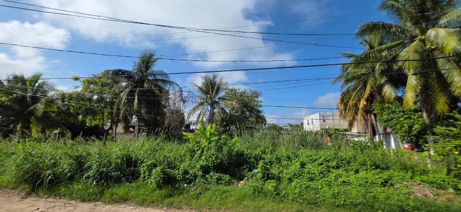 Imagen de terreno en venta en lagartera, centro, tabasco