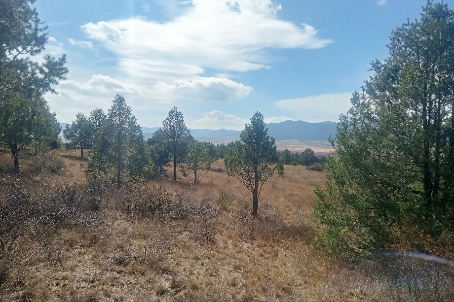Imagen de terreno en venta en san juanito (san juanito de los valdez), arteaga, coahuila