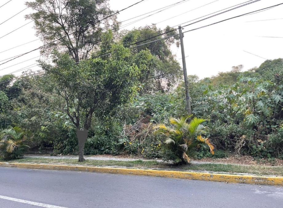 Imagen de terreno en renta en el salitre, ixtapan de la sal, estado de méxico