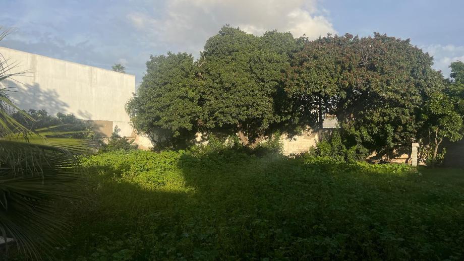 Imagen de terreno en renta en lienzo charro, playas de rosarito, baja california