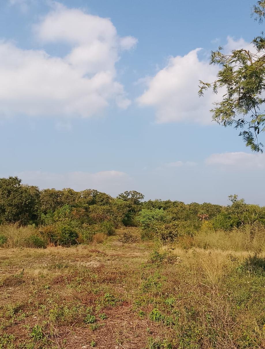 Imagen de terreno en venta en montecillos, ciudad valles, san luis potosí
