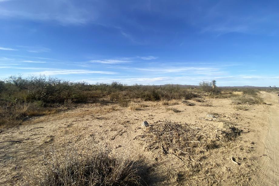 Imagen de terreno en venta en gral. cepeda, general cepeda, coahuila