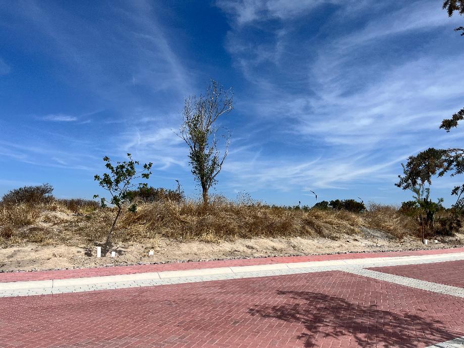 Imagen de terreno en renta en bravo, corregidora, querétaro