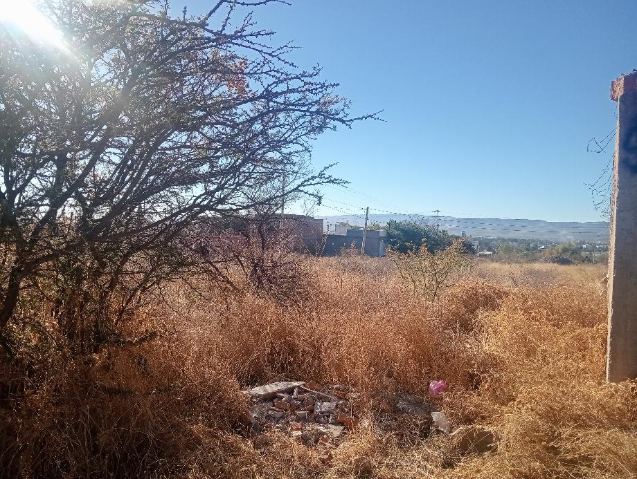 Imagen de terreno en venta en del bosque, durango, durango