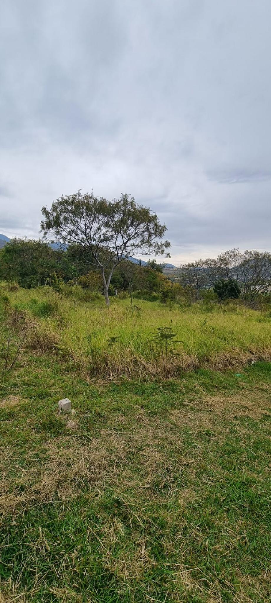 Imagen de terreno en venta en san agustin etla, san agustín etla, oaxaca