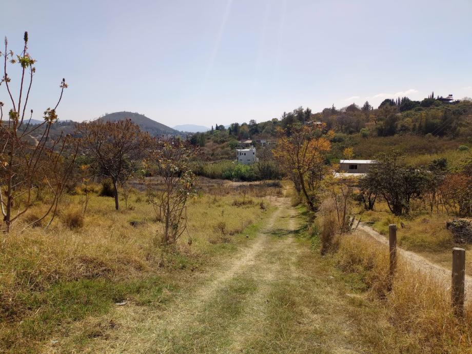 Imagen de terreno en venta en san agustin etla, san agustín etla, oaxaca