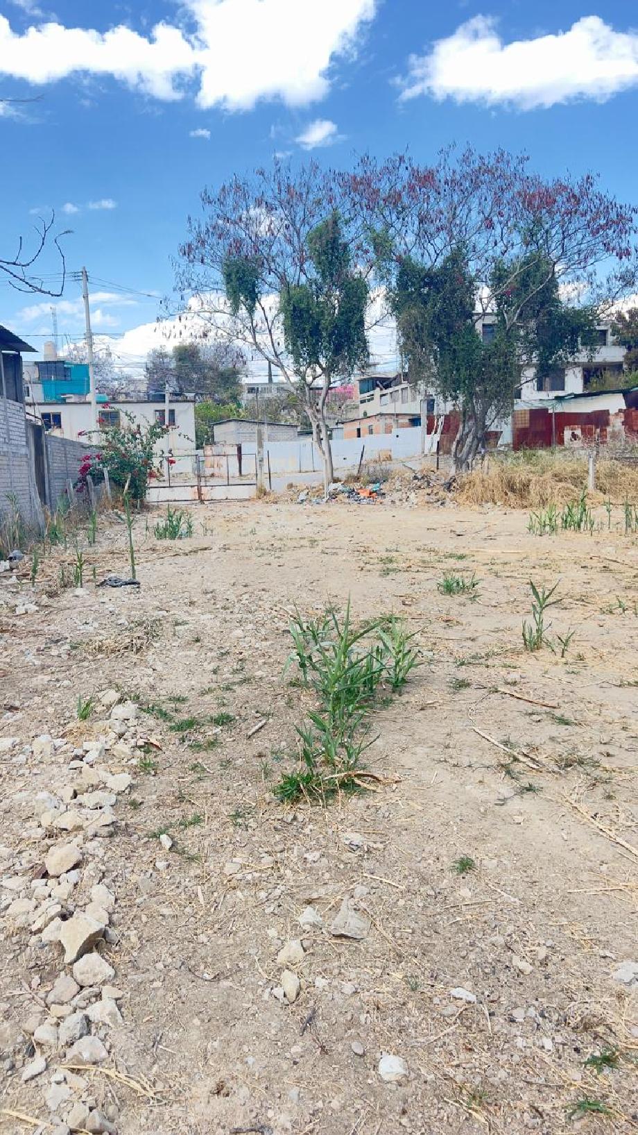 Imagen de terreno en venta en la experimental, san antonio de la cal, oaxaca