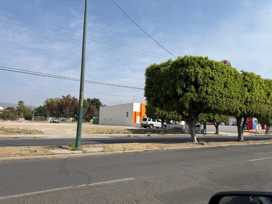 Imagen de terreno en renta en residencial campestre, irapuato, guanajuato