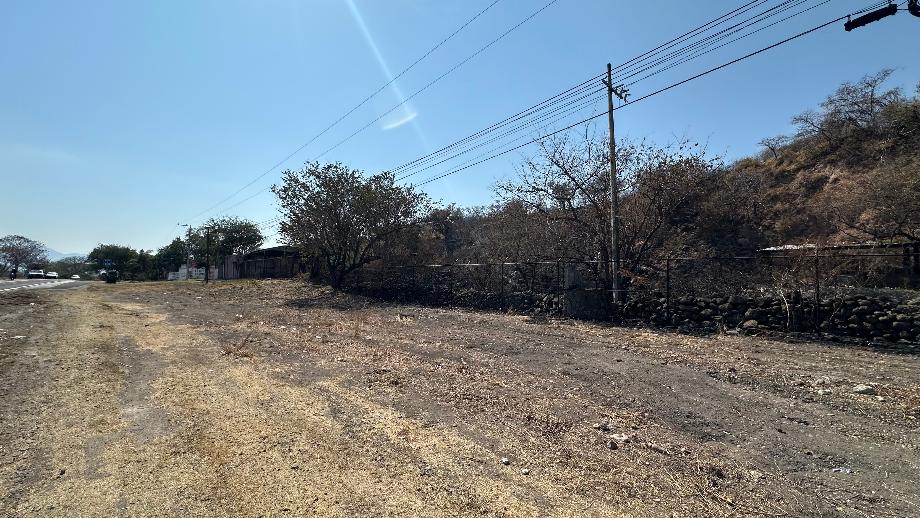 Imagen de terreno en venta en el naranjo, puente de ixtla, morelos