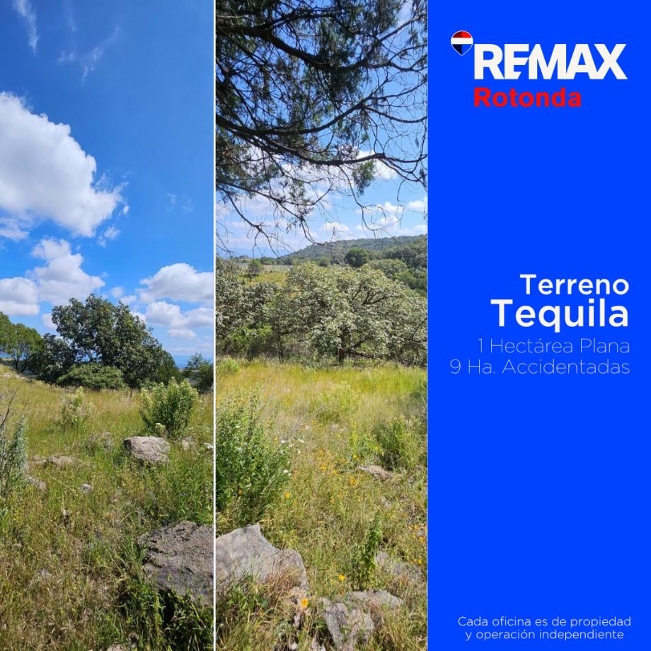 Imagen de terreno en venta en tequila centro, tequila, jalisco