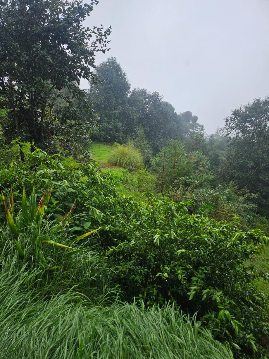 Imagen de terreno en venta en los reyes, acaxochitlán, hidalgo