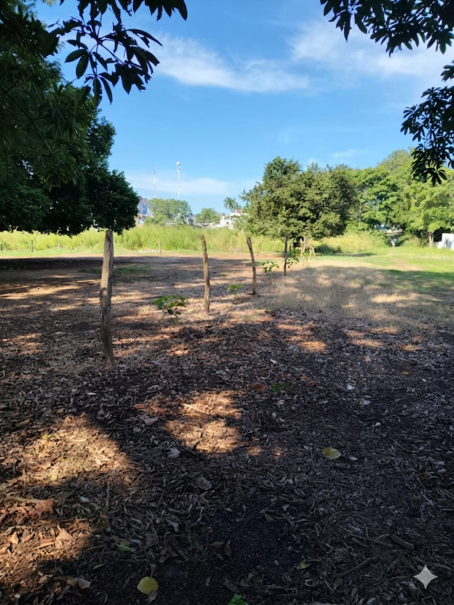 Imagen de terreno en venta en casa blanca 1a sección, centro, tabasco