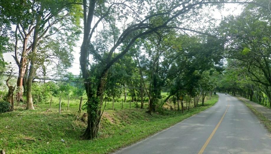 Imagen de terreno en venta en palenque centro, palenque, chiapas