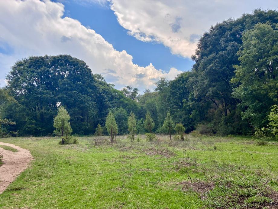 Imagen de terreno en venta en espíritu santo, jilotzingo, estado de méxico