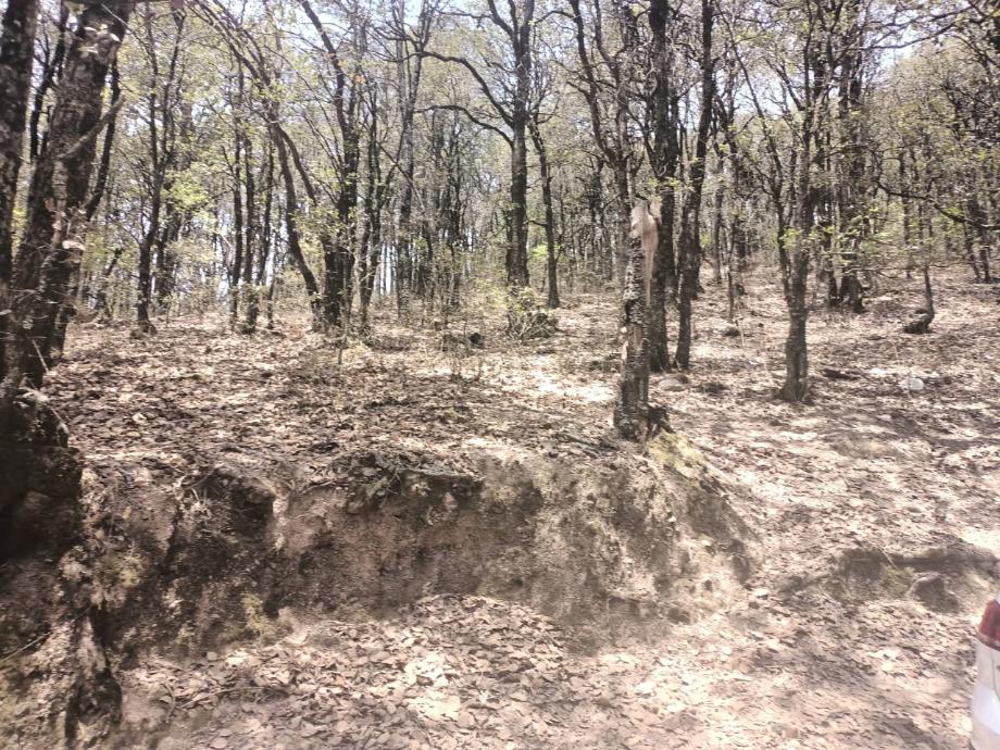 Imagen de terreno en venta en santa rosa de lima, guanajuato, guanajuato