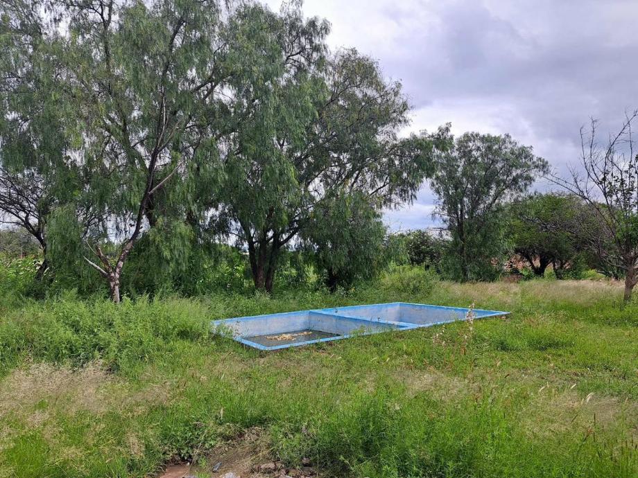 Imagen de terreno en renta en la guayana (rancho seco), jesús maría, aguascalientes