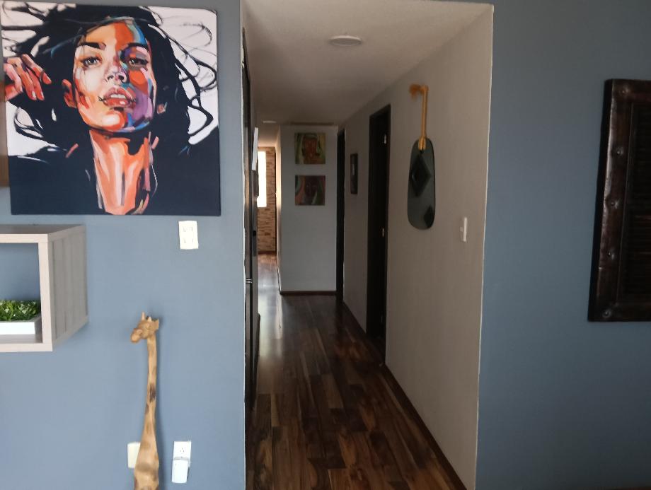 Imagen de departamento en renta en lomas de memetla, cuajimalpa de morelos, ciudad de méxico