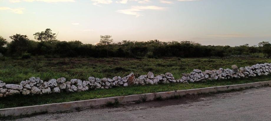 Imagen de terreno en renta en santa gertrudis copo, mérida, yucatán