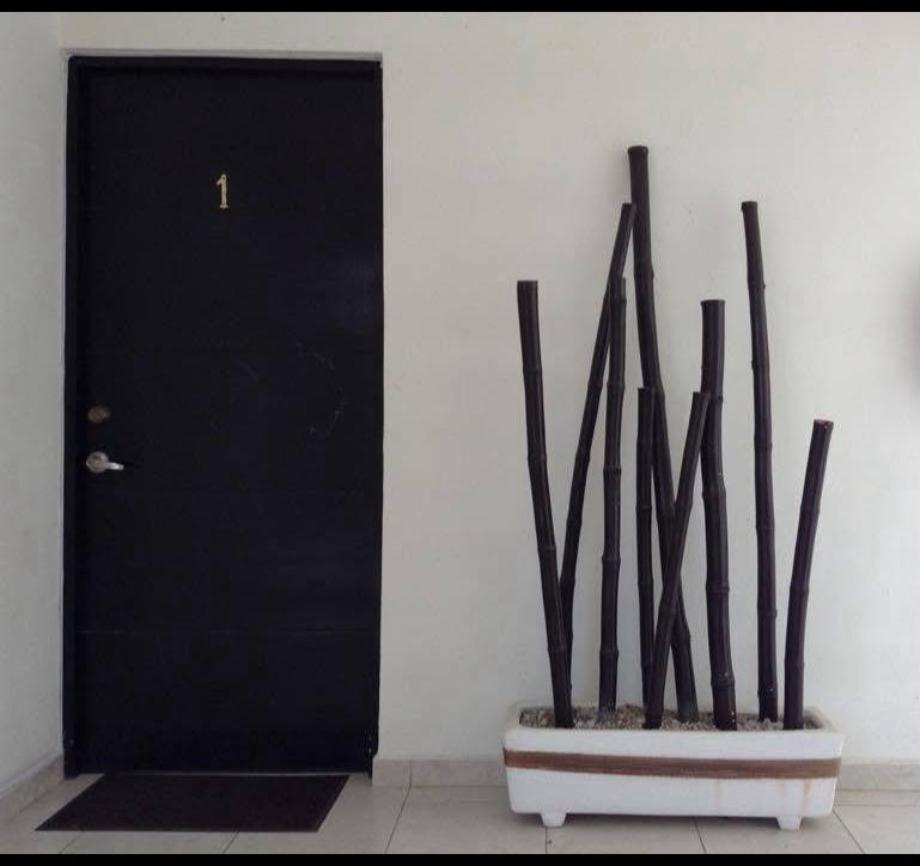 Imagen de departamento en renta en ejido guadalupe victoria, oaxaca de juárez, oaxaca