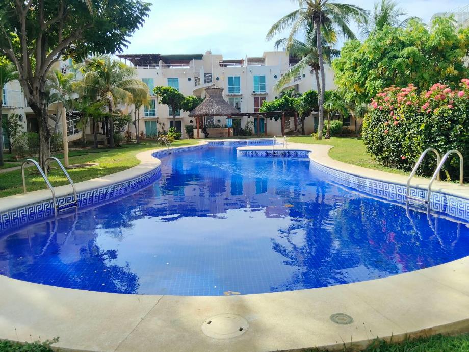 Imagen de departamento en renta en parque ecológico de viveristas, acapulco de juárez, guerrero