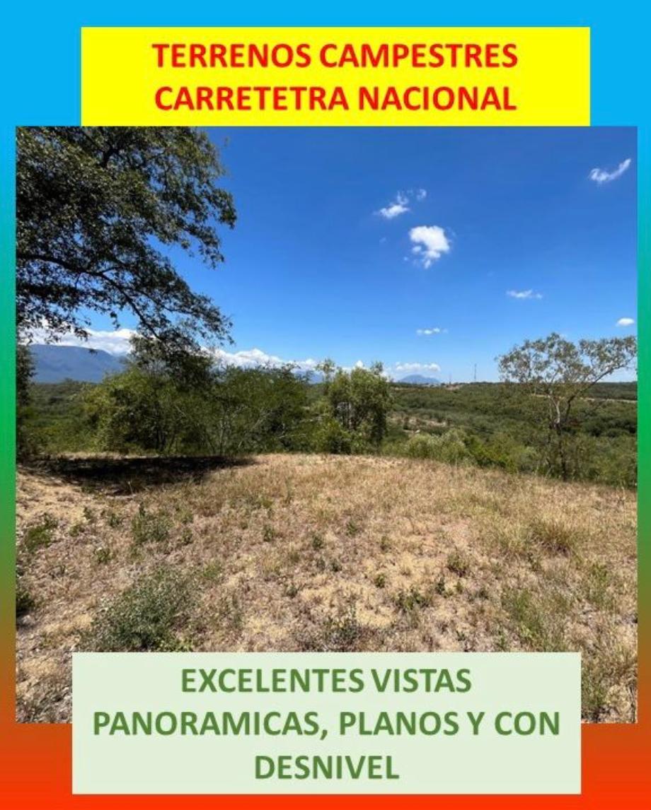 Imagen de terreno en venta en el fraile, montemorelos, nuevo león