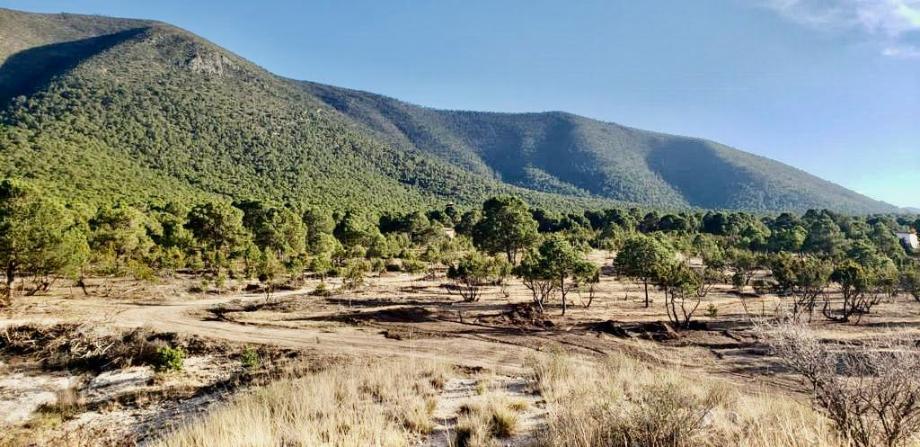 Imagen de terreno en venta en sierra hermosa, arteaga, coahuila de zaragoza