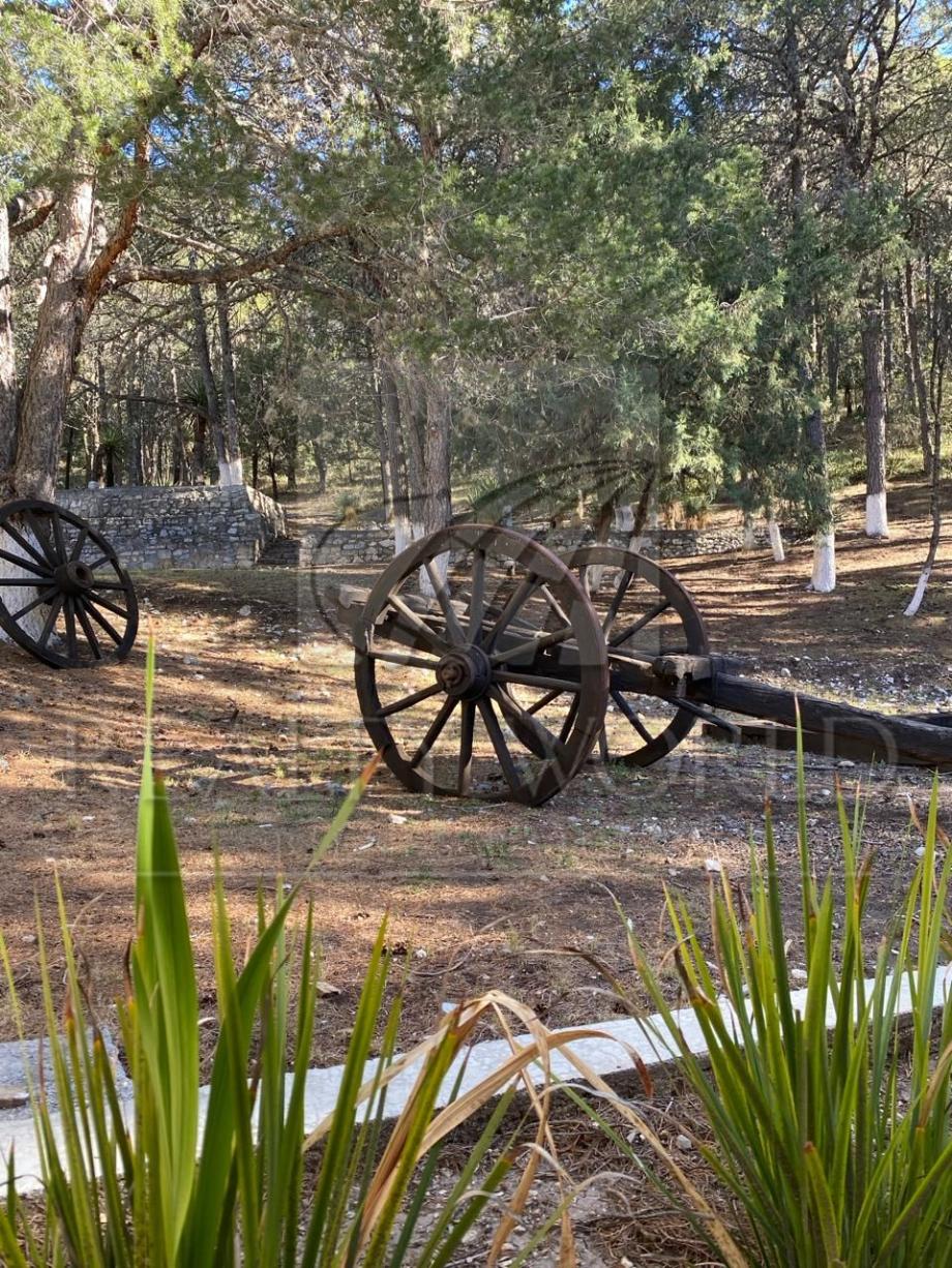 Imagen de terreno en venta en el cedrito, arteaga, coahuila de zaragoza