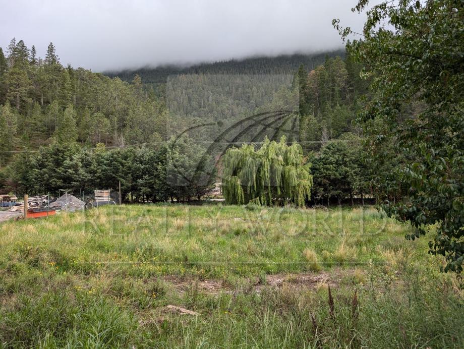 Imagen de terreno en venta en san antonio de las alazanas, arteaga, coahuila de zaragoza