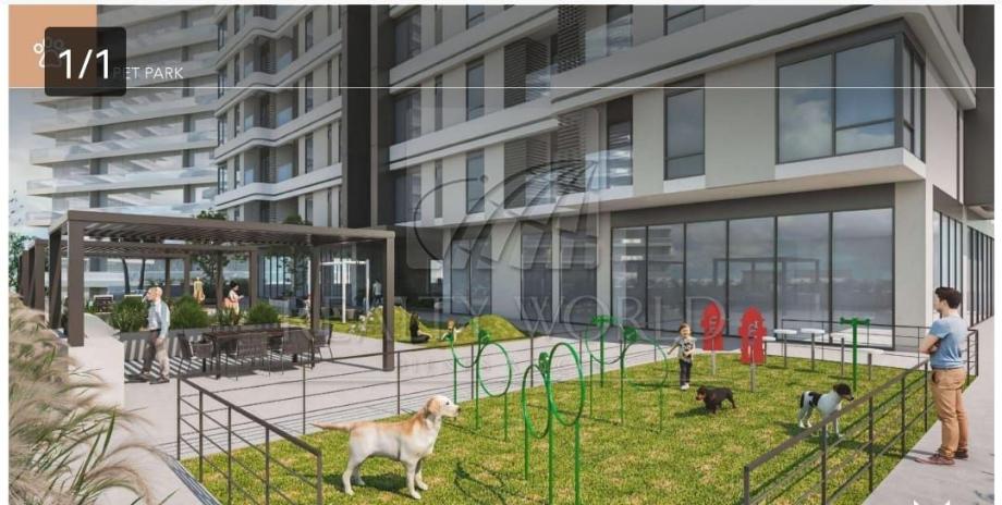 Imagen de departamento en venta en rancho de peña, saltillo, coahuila de zaragoza