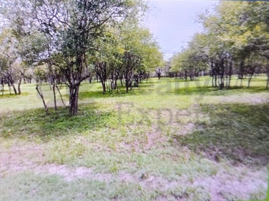 Imagen de terreno en venta en carretera nacional, montemorelos, nuevo león