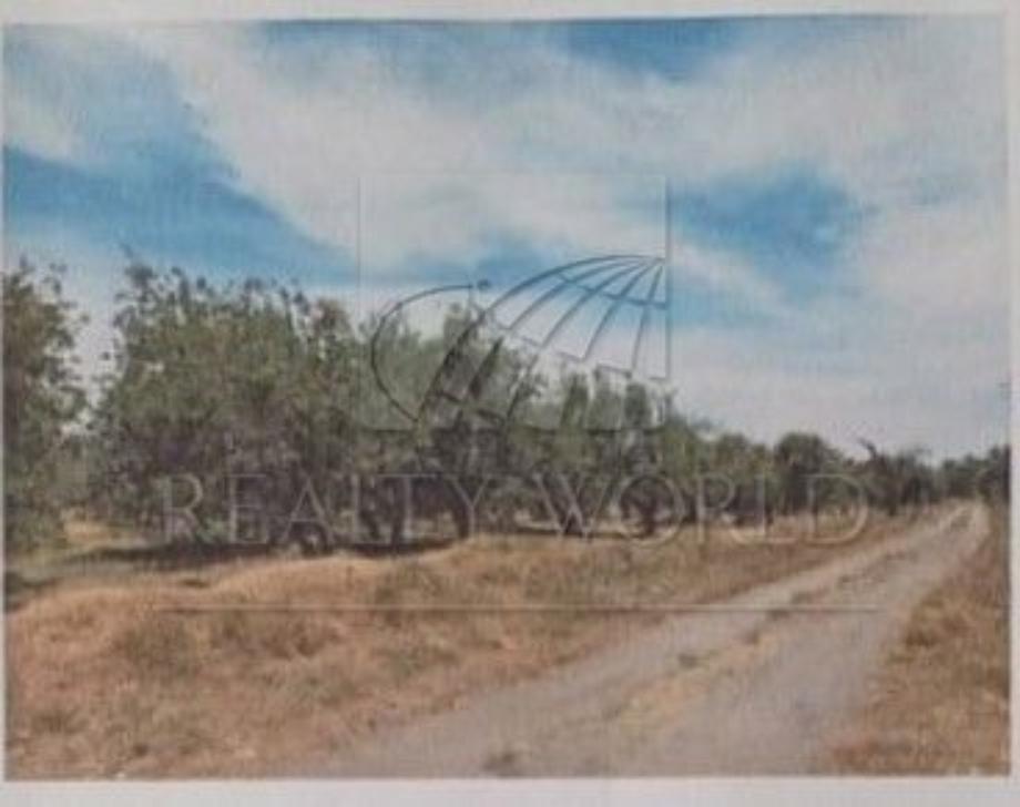 Imagen de terreno en venta en la joya de santiago mextla, huejotzingo, puebla