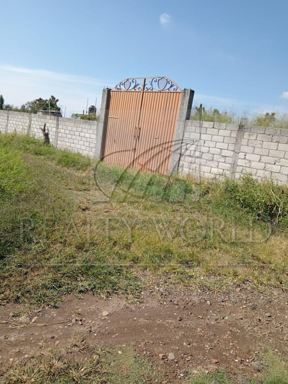 Imagen de terreno en venta en santa catarina, tepoztlán, morelos