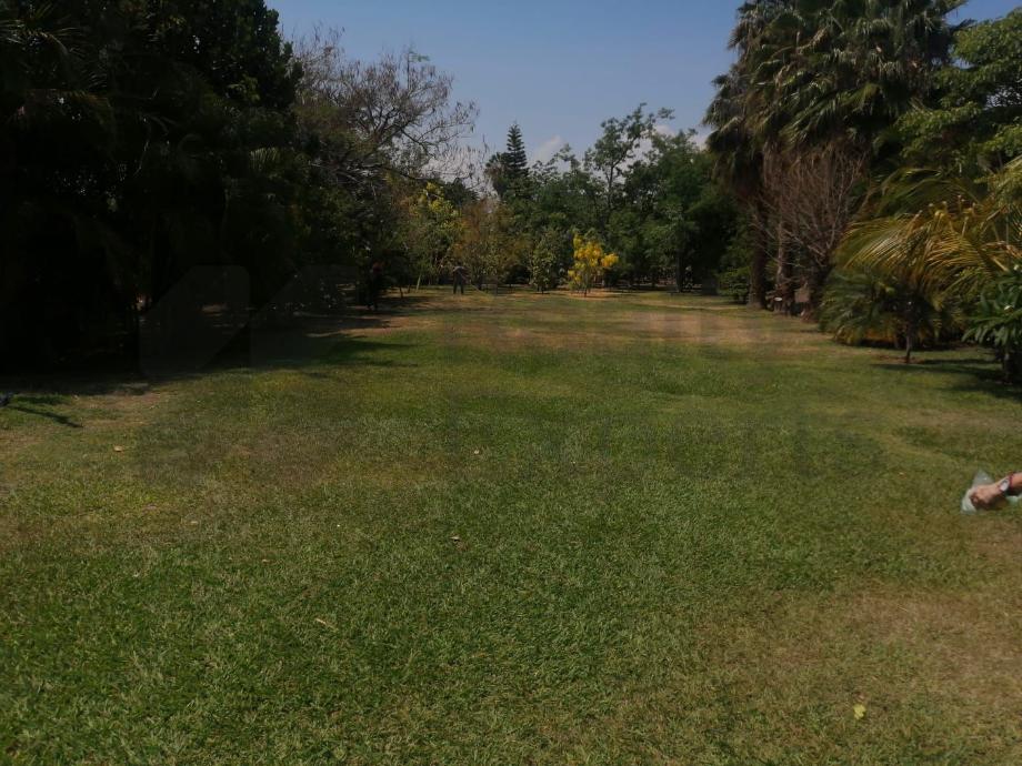 Imagen de terreno en venta en san antonio tlayacapan, chapala, jalisco